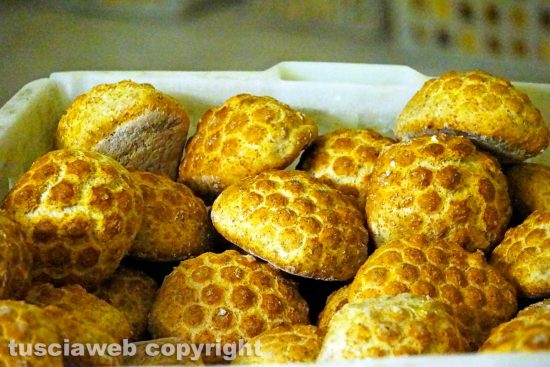 Pane
