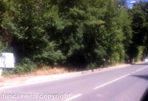 Viterbo - Degrado a viale Fiume tra La Quercia e Bagnaia 