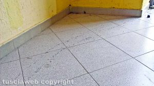 Montefiascone - Le formiche alla stazione di Zepponami