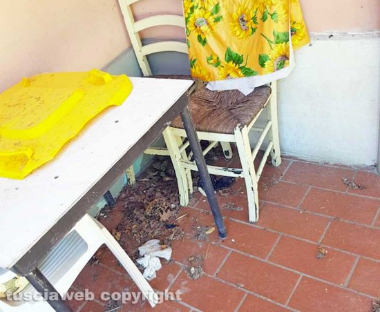 Il centro di Proceno dove sono stati accolti