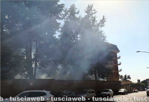 Viterbo - Incendio in via Monti Cimini