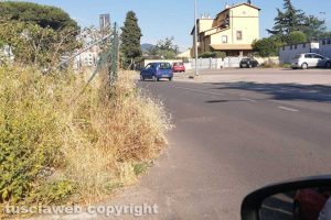 Viterbo - Erba alta in via Santa Giacinta Marescotti