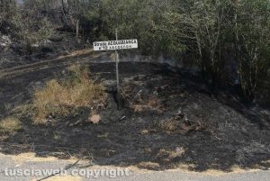 Viterbo - Incendio in strada Acquabianca