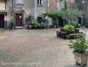 I fiori a Sutri