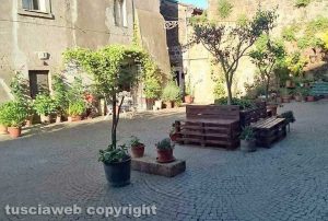 I fiori a Sutri