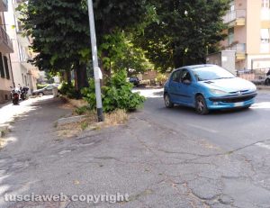 Erba alta all'incrocio tra strada Ponte Vejano e viale Fiume