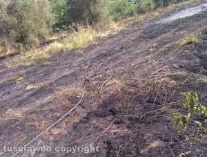 Sterpaglie in fiamme a Celleno
