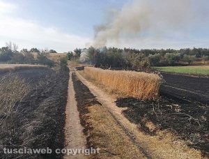 Viterbo - Incendio in strada Signorino