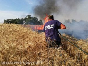 Viterbo - Incendio in strada Signorino - La protezione civile in azione