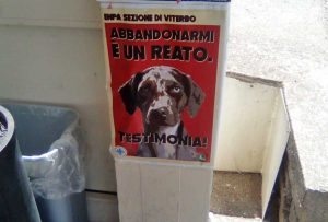 La campagna dell'Enpa 