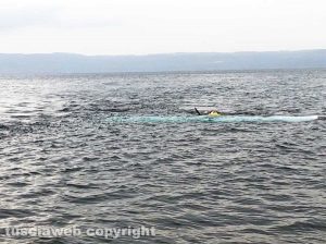 Bolsena - Idrovolante inabissato nel lago - Le operazioni di recupero
