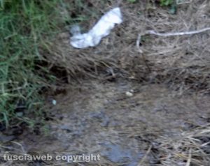 Viterbo - Discarica sulla Teverina