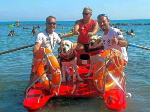 Ostia - L'intervento dell'unità cinofila Scuola italiana cani salvataggio