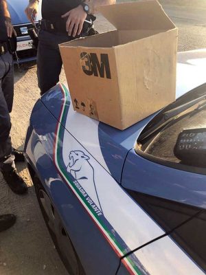 I cuccioli salvati dagli agenti di polizia della volante