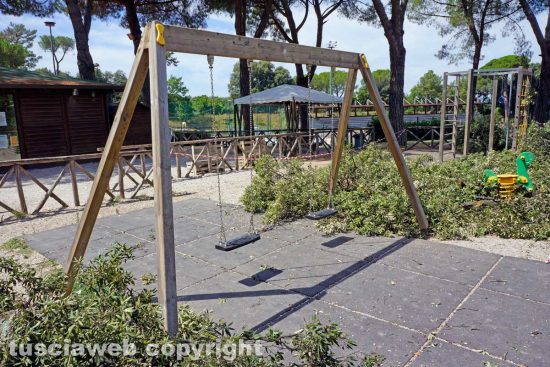Vetralla - Il leccio crollato sui giochi dei bambini