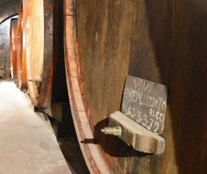 Castiglione in Teverina -Museo del vino