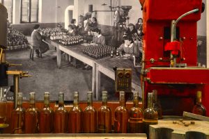 Castiglione in Teverina -Museo del vino