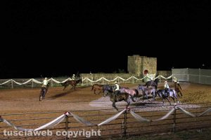 Tuscania - Nitriti nella notte