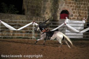 Tuscania - Nitriti nella notte