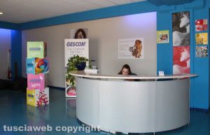 Viterbo - L'azienda Gescom