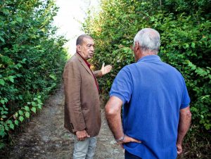 Tarquinia - Sopralluogo del sindaco Giulivi alla pineta San Giorgio