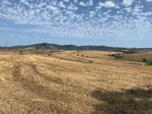 Tarquinia