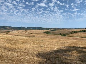 Tarquinia
