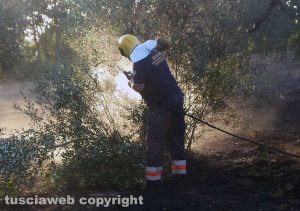 In fiamme oliveto - I volontari dell'Asvom
