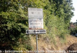Viterbo - Rifiuti in strada Caselle