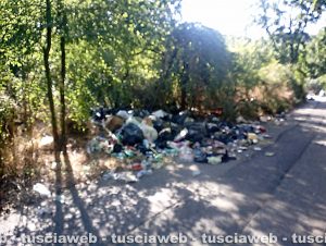 Viterbo - Rifiuti in strada Caselle