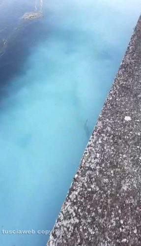 Sversamento di liquami a Marta