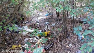 Viterbo - Rifiuti abbandonati in strada Caselle
