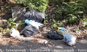 Orte - Rifiuti abbandonati