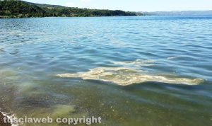Capodimonte - L'acqua sporca nel lago di Bolsena