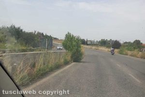 Monterosi - Alberi sulla corsia di sorpasso della Cassia bis