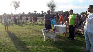 Tarquinia - Esposizione canina a Marina Velca