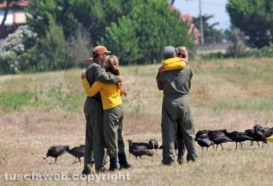 Orbetello - Gruppo di ibis eremita completa la migrazione dall'Austria - Foto di Alina Briciu
