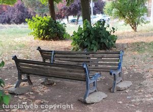 Viterbo - Degrado ai giardini della Grotticella
