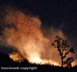 Grotte di Castro – A fuoco tre ettari di sterpaglie