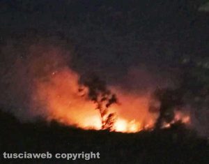 Grotte di Castro – A fuoco tre ettari di sterpaglie