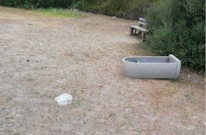 Montalto di Castro - Il degrado denunciato da Quinto Mazzoni