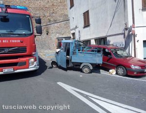Acquapendente - L'ape finito contro le due macchine