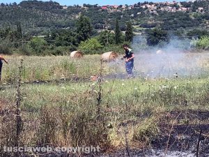 Montefiascone - Incendio di sterpaglie nella valle del lago