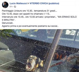 Viterbo - Cane lasciato in macchina - Il post di Lucio Matteucci su Facebook