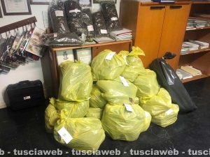 Orte - Carabinieri - Sequestrati 75 chili di droga
