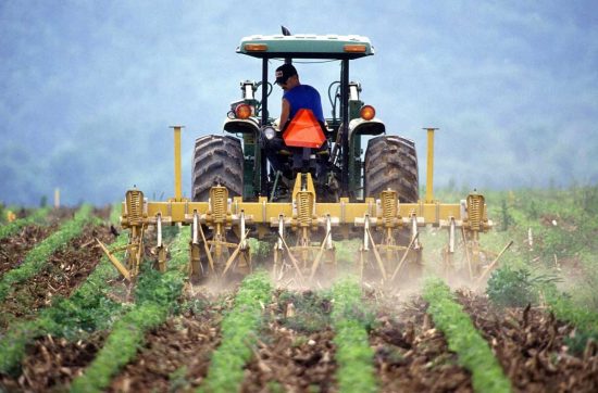 Un agricoltore