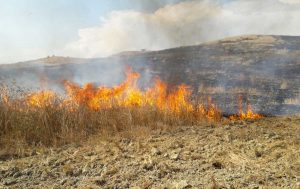 Tarquinia - Incendi alla Civita e sulla Turchina