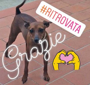 La cagnolina Mia ritrovata