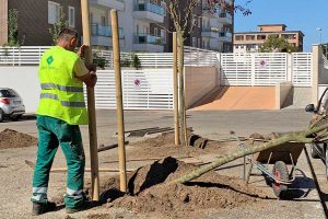 Viterbo - Fratelli d'Italia dona quattro piante alla città
