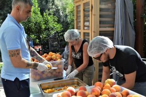 Nepi - Il progetto Cr.e.d.i.ci, per l'avvio al lavoro di ragazzi disabili
